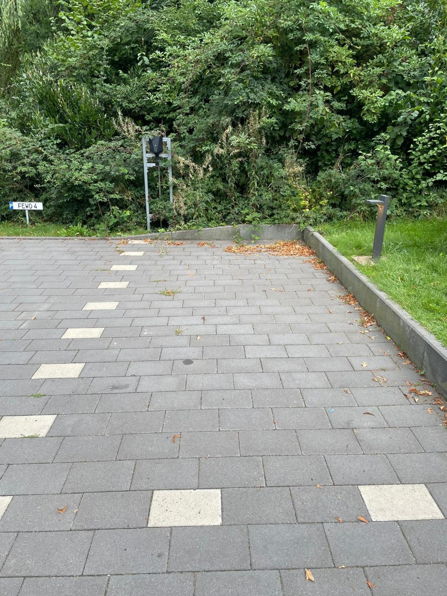 Oase Am See L 2 Sz L Familien Und Hundefreundlich L Sauna I E-Ladesaeule Möhnesee Exterior foto